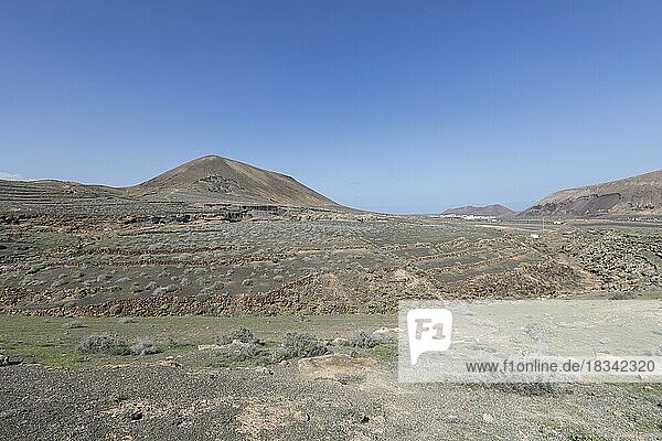 Rocky landscape around the volcano Montana de Guenia  Stratified City  Lanzarote  Canary Islands  Spain  Europe