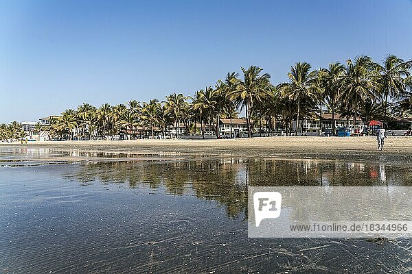 Palmen am Strand von Kotu spiegeln sich bei Ebbe im flachen Wasser  Kotu  Kanifing  Serekunda  Gambia  Westafrika  Afrika