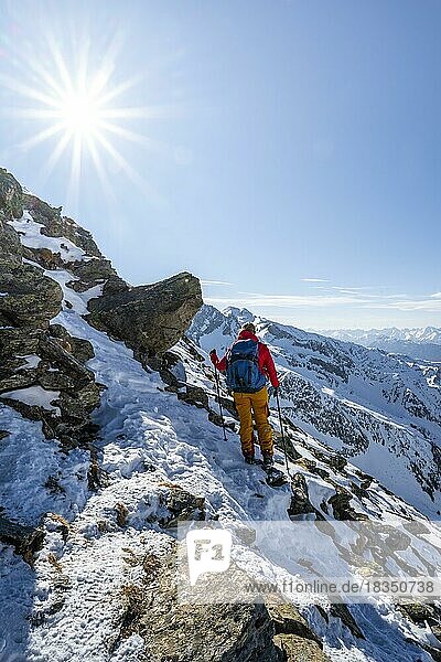 Skitourengeherin am Mitterzeigerkogel  Berge im Winter  Sellraintal  Kühtai  Tirol  Österreich  Europa