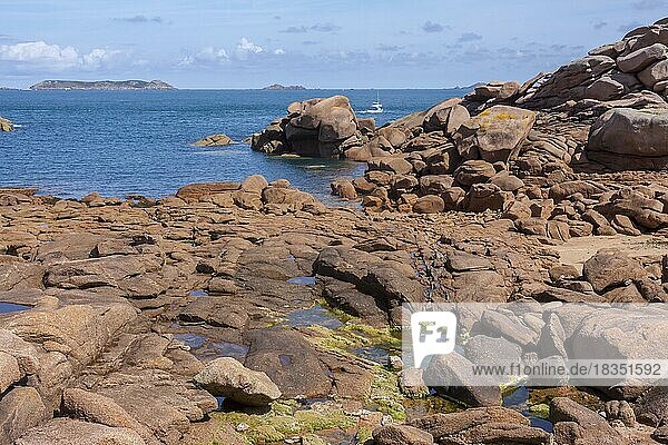 Küste bei Ploumanach an der Côte de granite rose  Bretagne  Frankreich  Europa