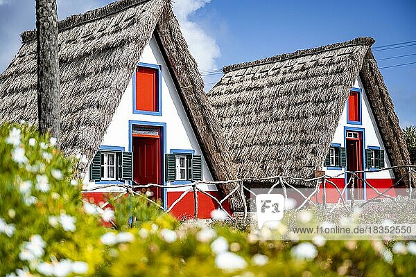 Traditionelles strohgedecktes Haus in Santana  Casa de Colmo  Insel Madeira  Portugal  Europa