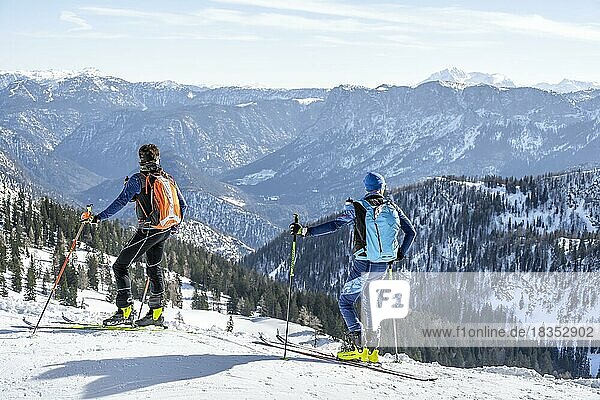 Ski tourers  mountains in winter  ski tour to Sonntagshorn  Chiemgau Alps  Bavaria  Germany  Europe