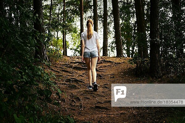 Rückenansicht einer jungen Frau beim Wandern auf einem Waldweg