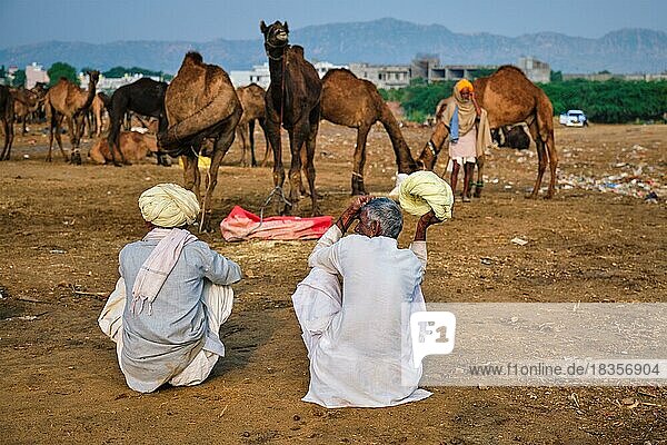 Indische Dorfbewohner  Männer und Kamele auf dem Pushkar-Kamelmarkt (Pushkar Mela)  der jährlich stattfindenden berühmten Kamel- und Viehmesse und Touristenattraktion  Pushkar  Indien  Asien