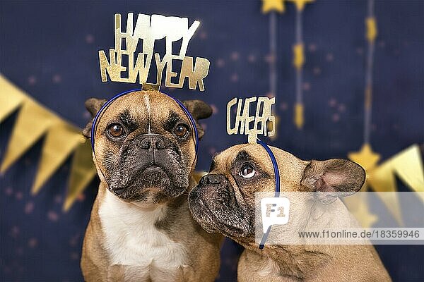 New Years Eve Hunde. Lustige Französisch Bulldogge Hunde tragen goldene Partei Feier Stirnbänder mit Worten Frohes neues Jahr und Jubel vor blauem Hintergrund