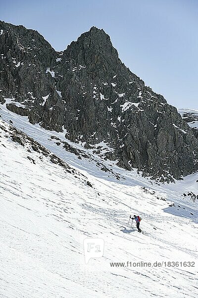 Ski tourers on the ascent in a saddle  mountains in winter  Kühtai  Tyrol  Austria  Europe