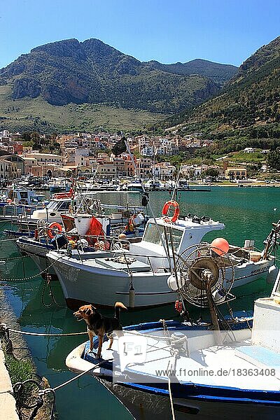 Boote im Fischerhafen von Castellammare del Golfo  Gemeinde in der Provinz Trapani  Sizilien  Italien  Europa
