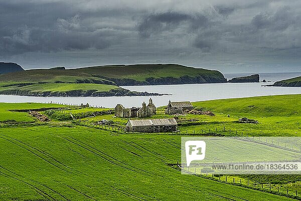 Verlassener Bauernhof  Shetlandinseln  Großbritannien  Europa