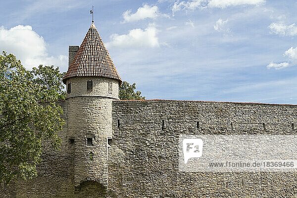 Wehrturm in der historischen Stadtmauer auf dem Domberg  Tallinn  Estland  Europa