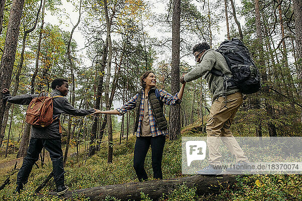 Happy woman helping man and son while walking on log in forest