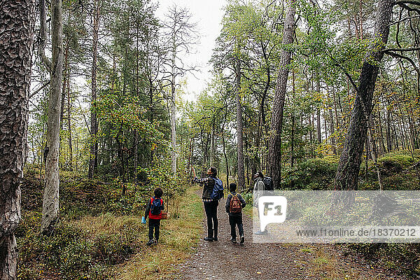 Parents showing trees to children while hiking in forest during vacation