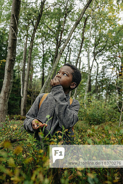 Junge schaut nach oben und isst Beeren in der Nähe von Pflanzen im Wald