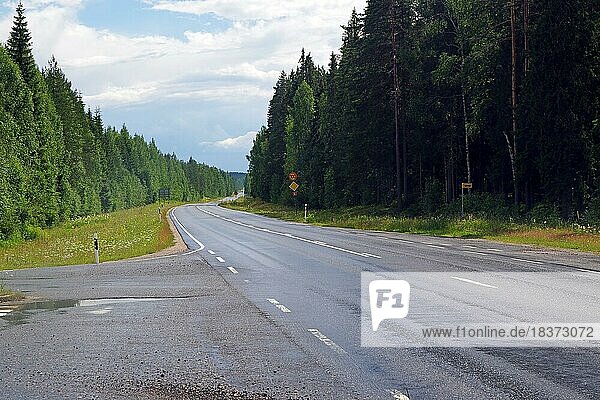 Grade Straße ohne Verkehr  links und rechts Wald  Ostfinnland  Finnland  Europa