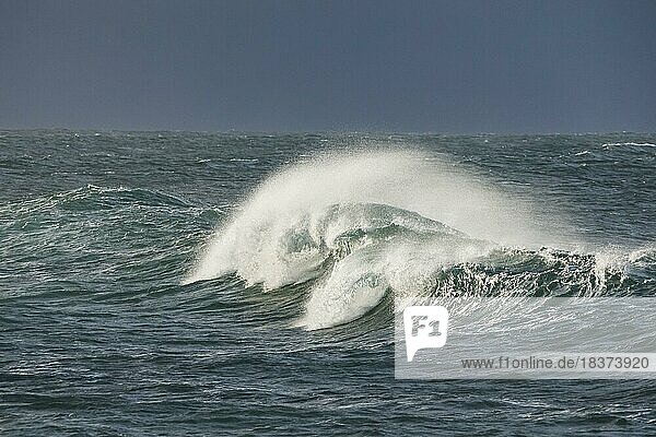 Big wave breaks in the open sea on the Breton coast near Brest  France  Europe