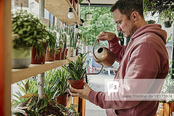 Man watering plants in flower shop