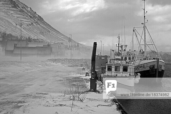 Fishermen lying at the harbour on a stormy day  snow blowing  winter  Siglufjördur  Iceland  Europe