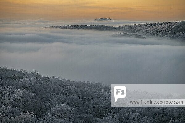 Buchenwälder mit Raureif  Blick in Richtung Westen auf den Kamm des Teutoburger Waldes  nach Sonnenuntergang  Abendrot  Aussichtsturm Steinegge  Dissen  Landkreis Osnabrück  Niedersachsen  Deutschland  Europa