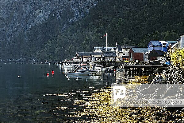 Der Ort Undredal am Aurlandsfjord in der Provinz Vestland  Norwegen  Europa