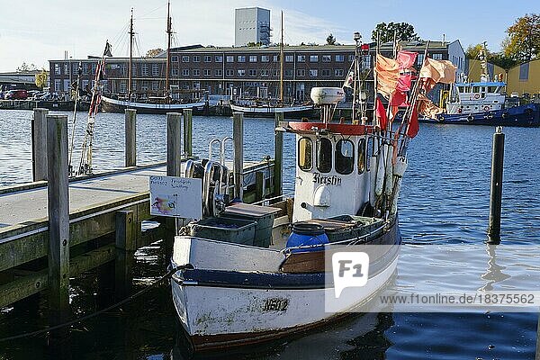 Fishing boat in the harbour  Neustadt in Holstein  Baltic Sea  Schleswig-Holstein  Germany  Europe
