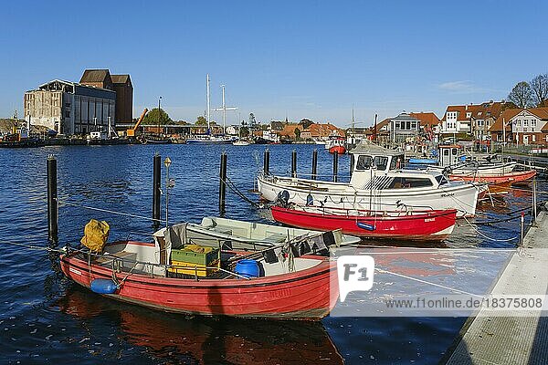 Fishing boats in the harbour  Neustadt in Holstein  Baltic Sea  Schleswig-Holstein  Germany  Europe