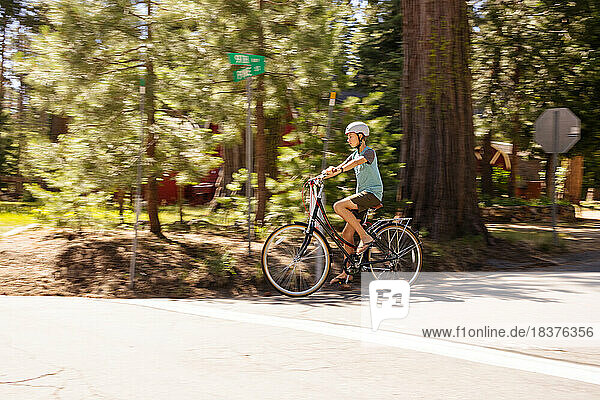 USA  California  Tahoe City  Boy (12-13) riding bicycle on road
