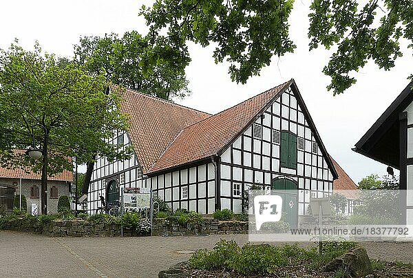 Schultenhof  ehemalige Bauernhof-Anlage  heute Schulmuseum und Postmuseum  Mettingen  Münsterland  Nordrhein-Westfalen  Deutschland  Europa