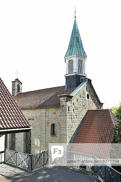 Katholische Pfarrkirche St. Michael  Tecklenburg  Münsterland  Nordrhein-Westfalen  Deutschland  Europa