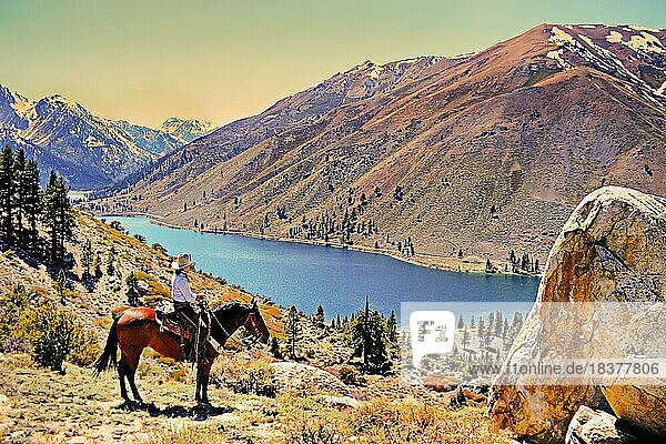 Cowgirl  Westernreiterin auf braunem Pferd  blickt auf Gebirgsee  Sierra Nevada Mountains  nahe Bridgeport  California  USA  Nordamerika