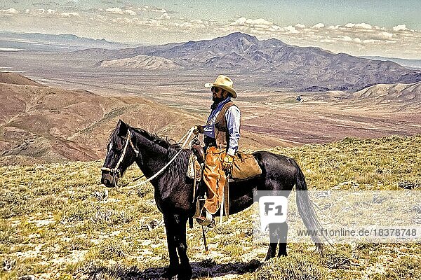 Cowboy with chaps  black horse  ranch in mountain terrain  near Golconda  Northern Nevada  USA  North America