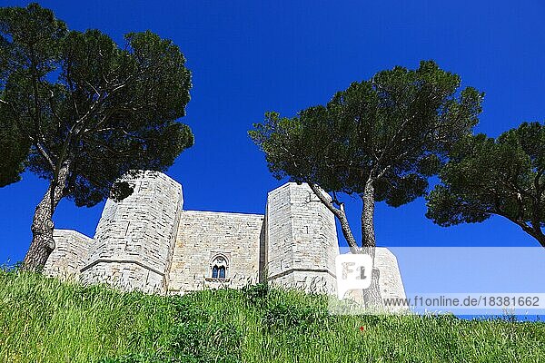 Castel del Monte  castrum Sancta Maria de Monte  ist ein Bauwerk aus der Zeit des Stauferkaisers Friedrich II. in Apulien  Italien  Europa