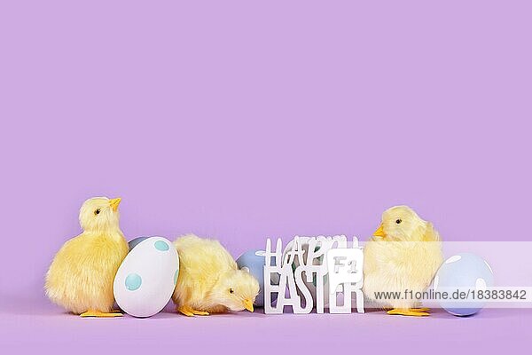 Pastellfarbene Ostereier  Huhn und Text Frohe Ostern auf violettem Hintergrund mit Kopierraum