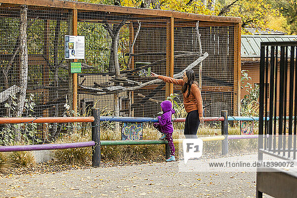 Mother and daughter have teaching moment at Boise Zoo
