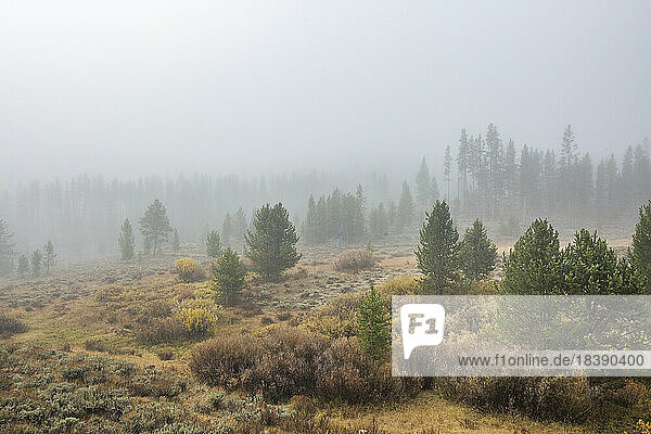foggy mountain scene near Sun Valley Idaho