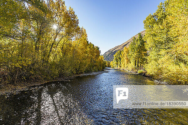 Big Wood River in fall near Sun Valley Idaho