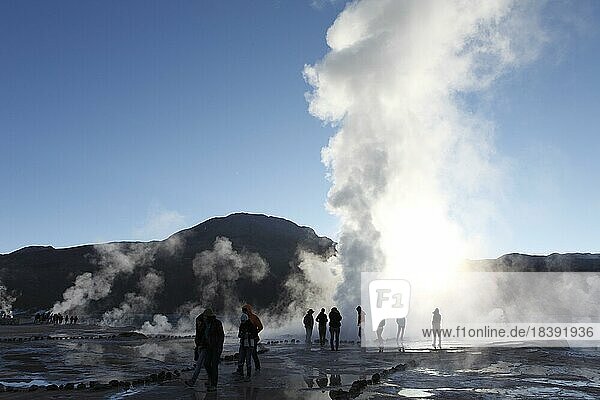 Steam fountains  El Tatio geysers  Región de Antofagasta  Chile  South America