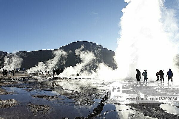 Steam fountains  El Tatio geysers  Región de Antofagasta  Chile  South America