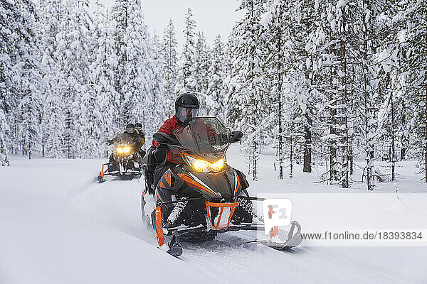 Three people driving snowmobiles framed by frozen trees in the snowy forest  Lapland  Sweden  Scandinavia  Europe