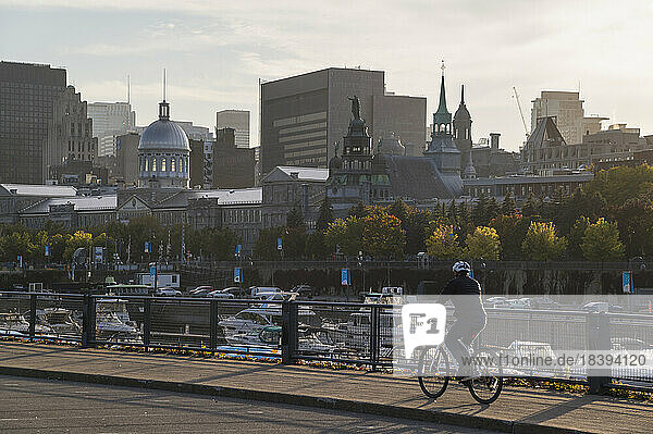 Radfahrer fährt entlang des alten Hafens von Montreal mit historischen Gebäuden im Hintergrund  Montreal  Quebec  Kanada  Nordamerika
