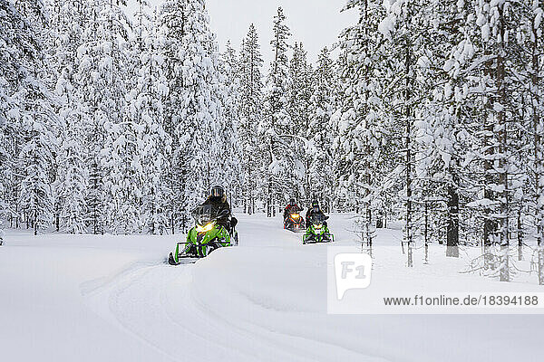 Touristen beim Motorschlittenfahren in einem verschneiten Wald im Winter  Lappland  Schweden  Skandinavien  Europa