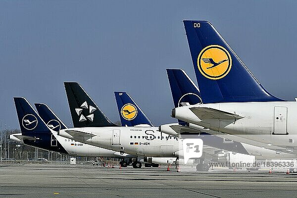 Lufthansa Flugzeuge parkend auf Position am Satellit  Terminal 2  Flughafen München  Oberbayern  Bayern  Deutschland  Europa