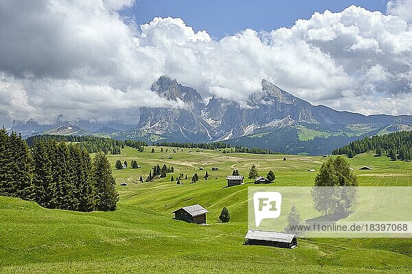 Almhütten auf der Seiser Alm  Langkofel  Dolomiten  Südtirol  Italien  Europa