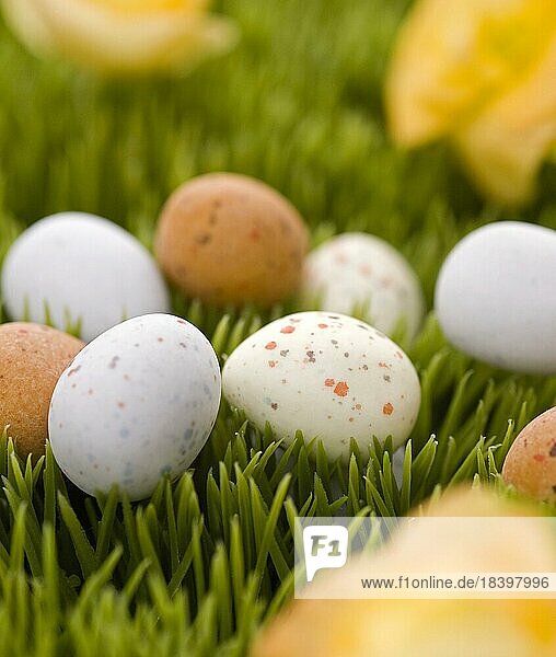 Ostern  kleine Eier im Gras
