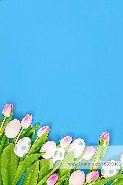 Weiße Tulpe Frühlingsblumen mit rosa Spitzen und Ostereier auf der Seite der blauen Hintergrund mit Kopie Raum