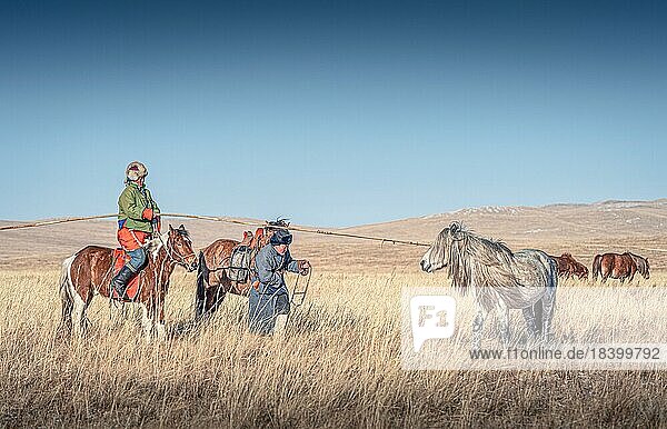 Riders catching the horse with the long pole. Dornod Province  Mongolia  Asia