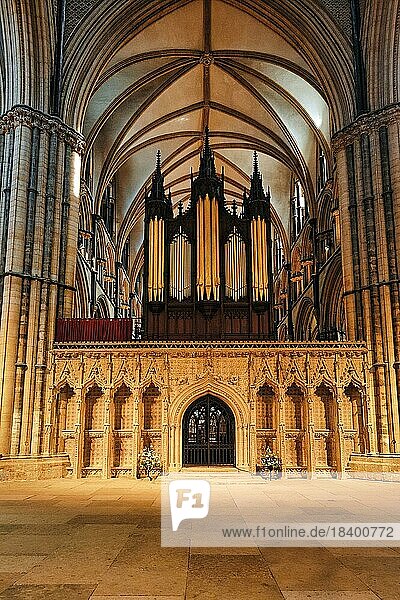 Lettner mit Orgelprospekt  Kathedrale von Lincoln  The Cathedral Church of St. Mary  Gotik  Lincoln  Lincolnshire  England  Großbritannien  Europa