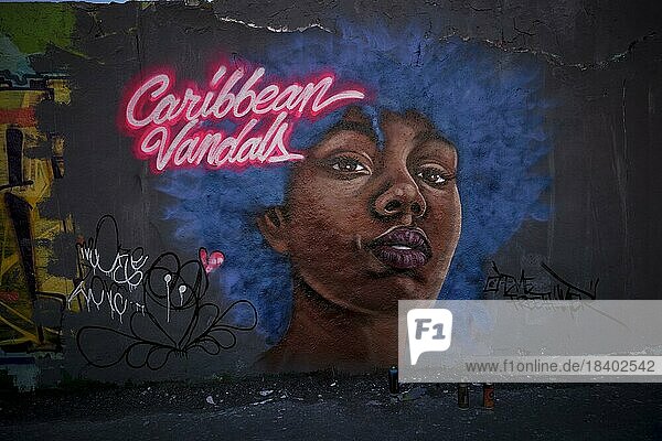 Germany  Berlin  19.02.2023  Sunday afternoon in Mauerpark  graffiti work by Dominican graffiti artist Eme Freethinker  woman with blue hair  Caribbean Vandalst  Europe