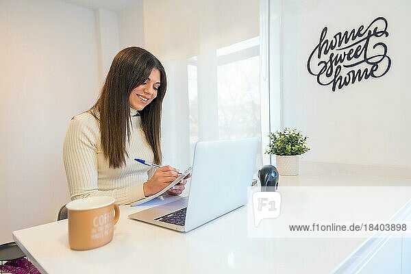 Geschäftsfrau  die mit einem Computer arbeitet  lächelnd  Geschäft  Heimbüro  Telearbeit