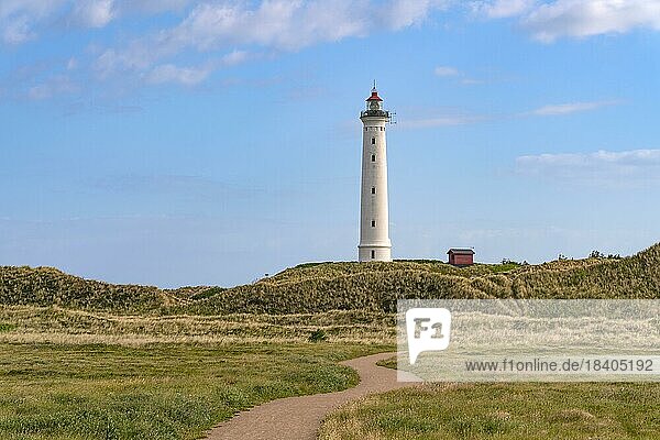 Lyngvik Fyr lighthouse on Holmsland Klit on the west coast of Jutland  Hvide Sande  North Sea  Denmark  Europe