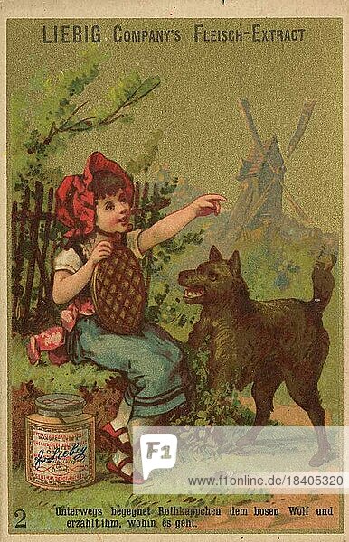 Picture series fairy tale Little Red Riding Hood  meets the evil Wofl and tells him where she is going  digitally restored reproduction of a collectors picture from c. 1900