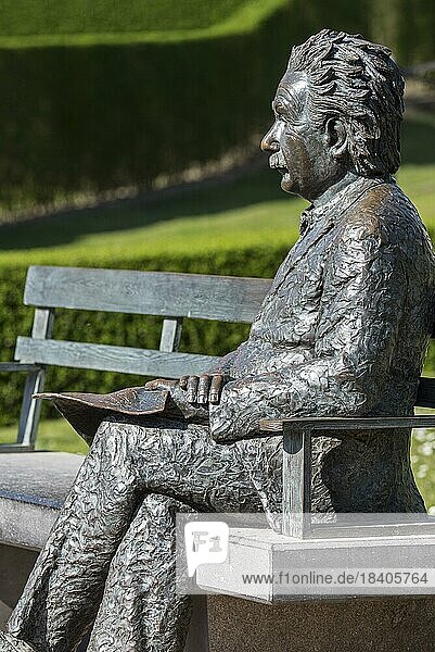 Albert Einstein statue sitting on a park bench at the seaside resort De Haan  Le Coq  West Flanders  Belgium  Europe